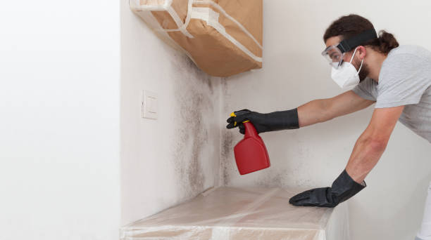 Professional Bathroom Mold Removal technician working in Niles, MI